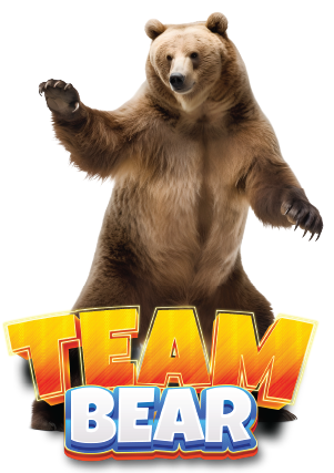 Team Bear Sticker Set